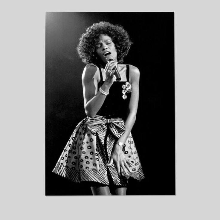 Singer Poster - Whitney Houston- Retro Style - Size 24x36