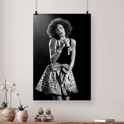 Singer Poster - Whitney Houston- Retro Style - Size 24x36