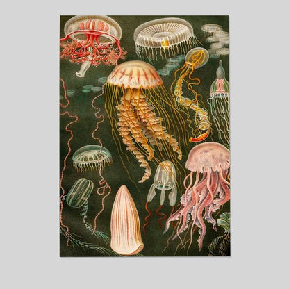 Vintage Jellyfish Poster, Ocean Art Poster Full Size 24''x36''