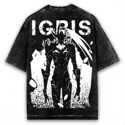 2-SIDED SOLO LEVELING, SUNG JIN WOO ARISE WASHED TEE