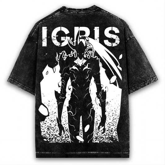 2-SIDED SOLO LEVELING, SUNG JIN WOO ARISE WASHED TEE