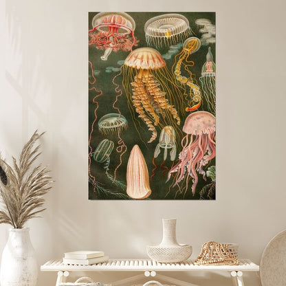 Vintage Jellyfish Poster, Ocean Art Poster Full Size 24''x36''