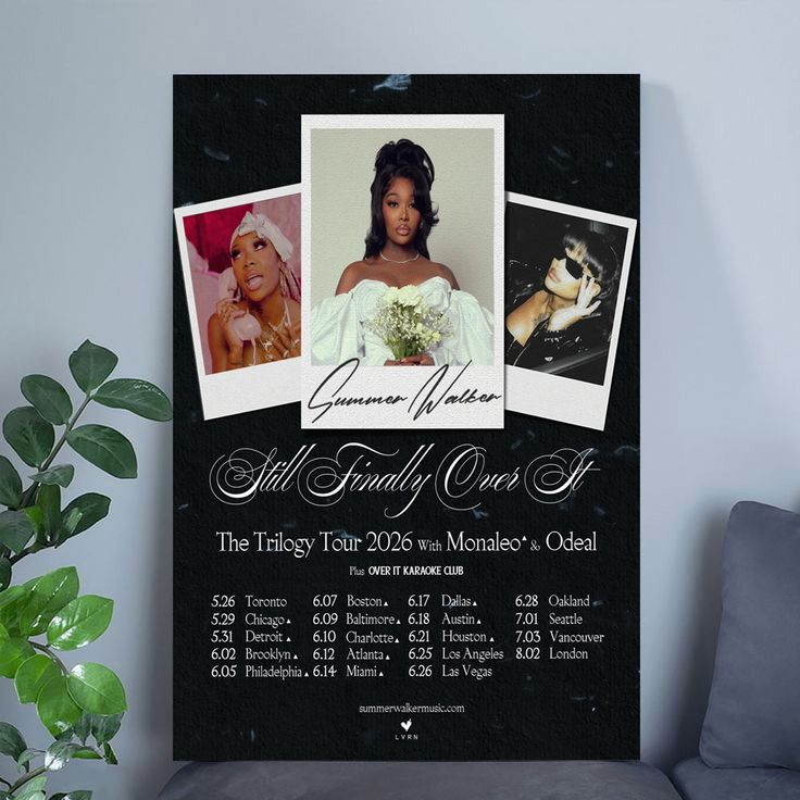 Music Poster Miss. Pizza Hut Still Finally Over It Tour Size 24''x36''