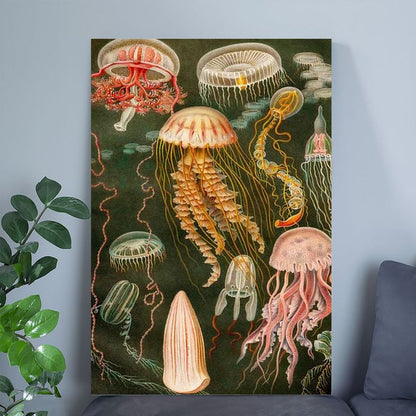Vintage Jellyfish Poster, Ocean Art Poster Full Size 24''x36''