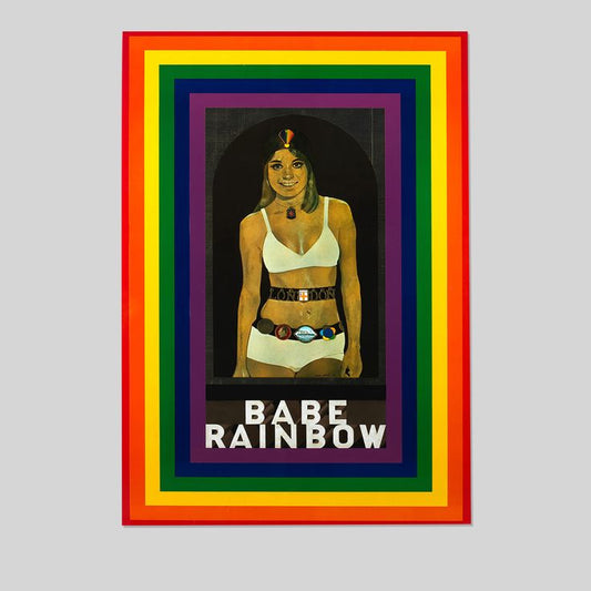 BABE RAINBOW 29 MULTICOLOR POSTERS BOOK BY PAINTERS VINTAGE 1978 Size 24''x36''