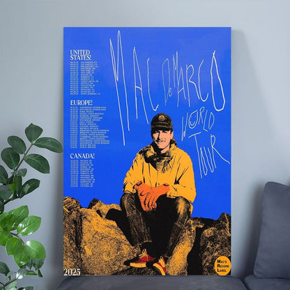Mac DeMarco World Tour 2025 Poster Size 24''x36''