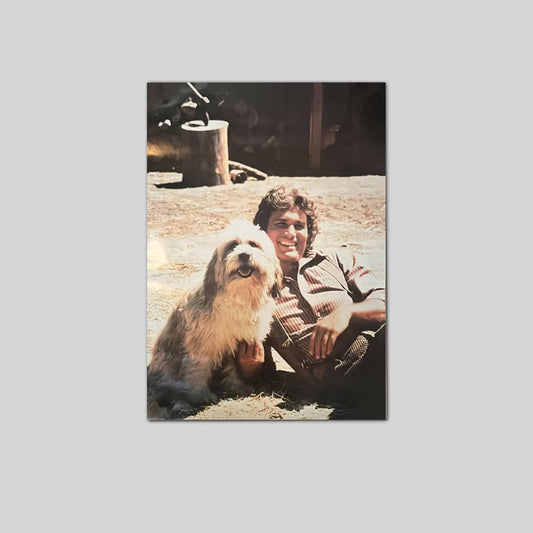 Lucky Shop Vintage Original Poster Little House On The Prairie Michael Landon 1978 TV Show Movie Poster Full Size 24''x36''