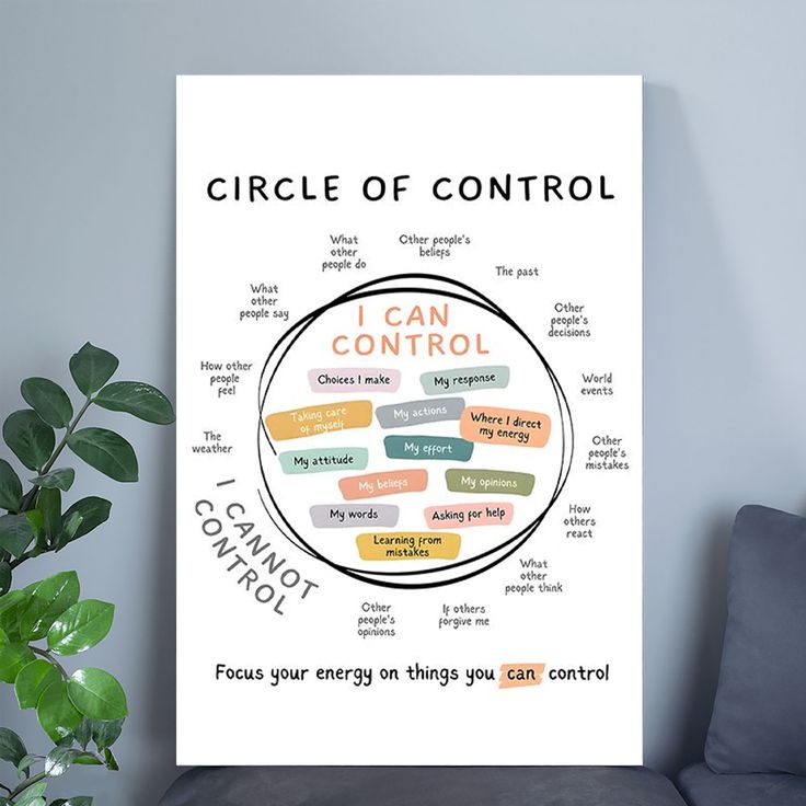 Circle of Control Poster-  Mindfulness Office Art Poster Size 24''x36''