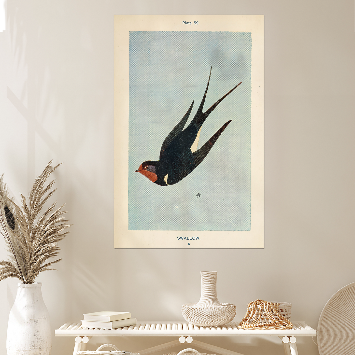 Vintage Swallow Bird Poster, One Sheet Wall Size 24''x36''