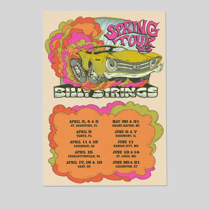 BILLY STRINGS Spring Tour 2025 Ltd Ed RARE Poster! Bluegrass Country Americana Size 24''x36''