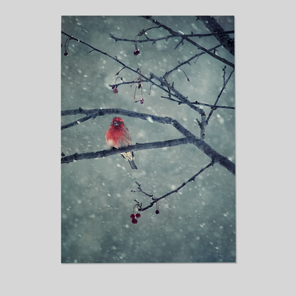 Home Decor- Snowing Poster, One Sheet Wall Size 24''x36''