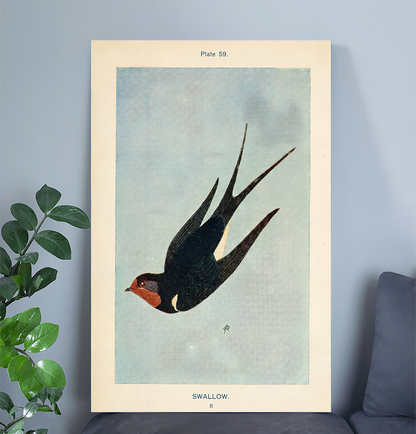Vintage Swallow Bird Poster, One Sheet Wall Size 24''x36''