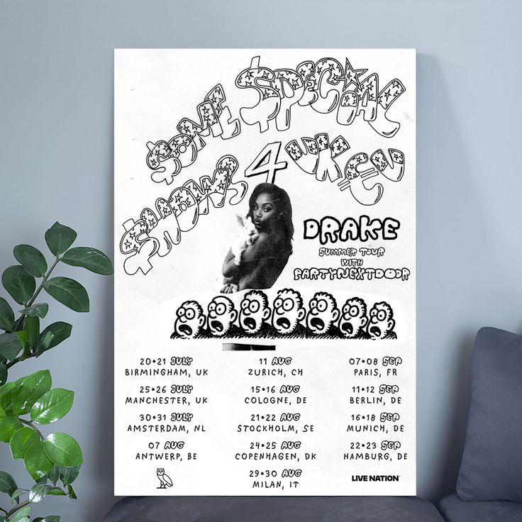 Drake and PARTYNEXTDOOR SOME SPECIAL SHOWS 4 U Tour 2025 Poster Size 24''x36''