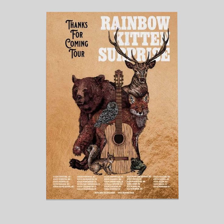 Rainbow Kitten Surprise Thanks For Coming 2025 Tour Poster Size 24''x36''