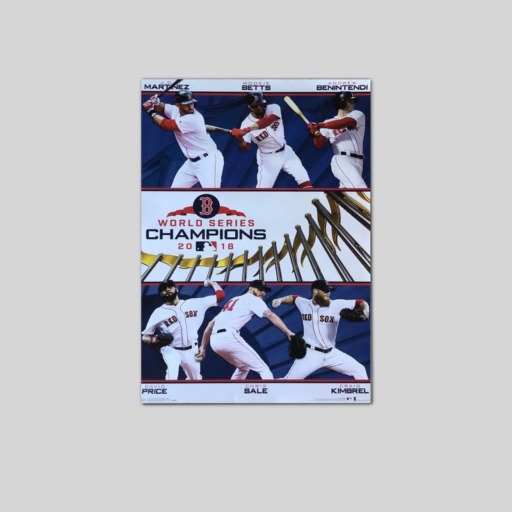 2017 World Series Champions Poster Size 24''x36''