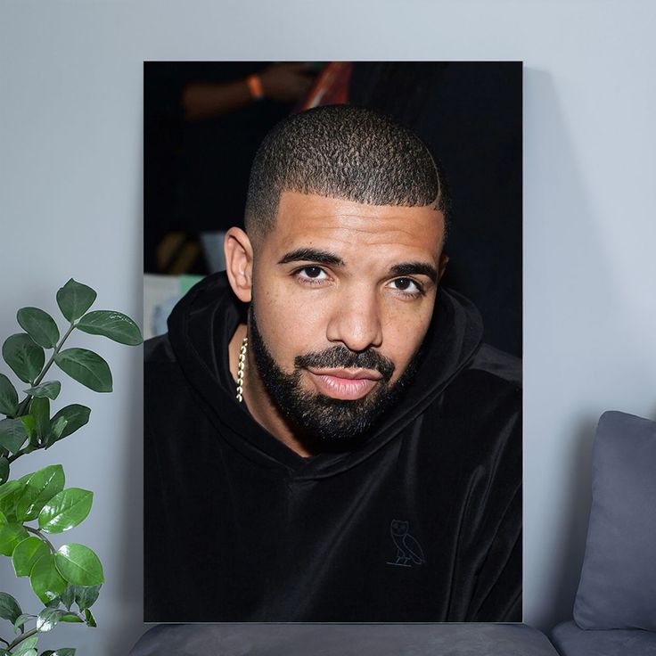 Music Poster Drake Celebrity Movie Actress Singer Artist Wall Art Home Decor Size 24''x36''