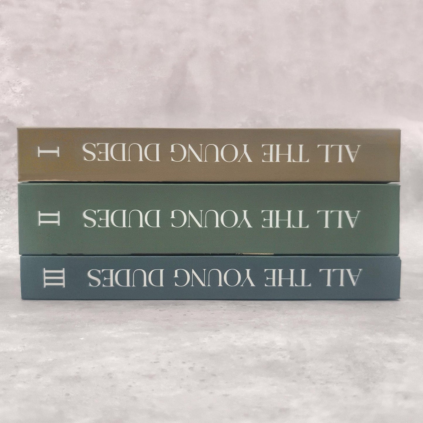 All The Young Dudes, Hardcover Book, 3 - Book Complete Series, Written by MsKingBean89