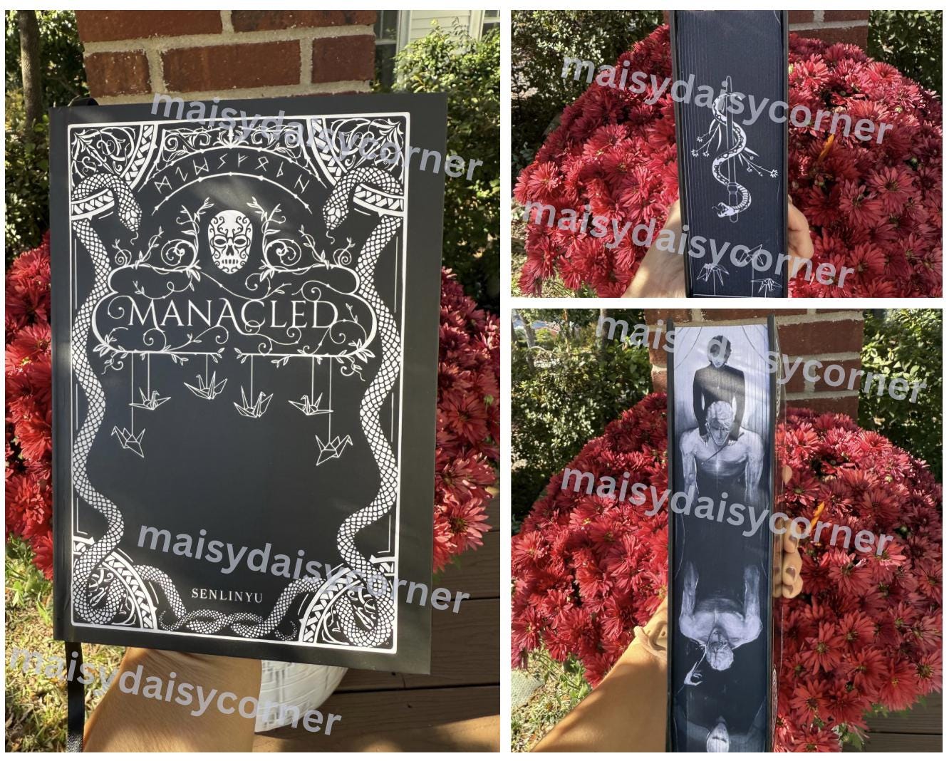 Manacled Book Entire Novel Sprayed Edges Special Edition