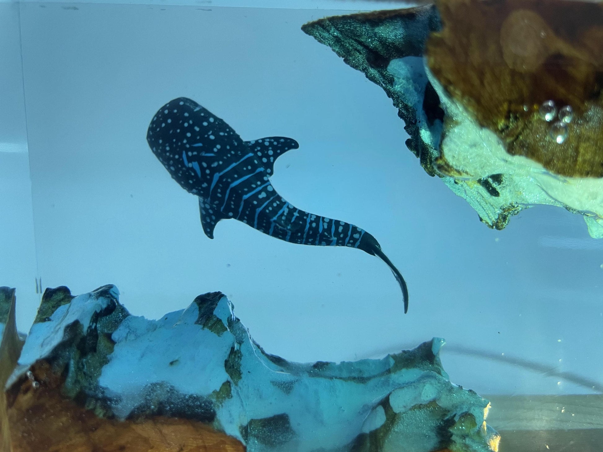Whale Shark Cube Resin Lamp, Handmade Ornament, Diver Art Craft, ocean art, Best Friend Gift, Unique Decor, Gift for Kids