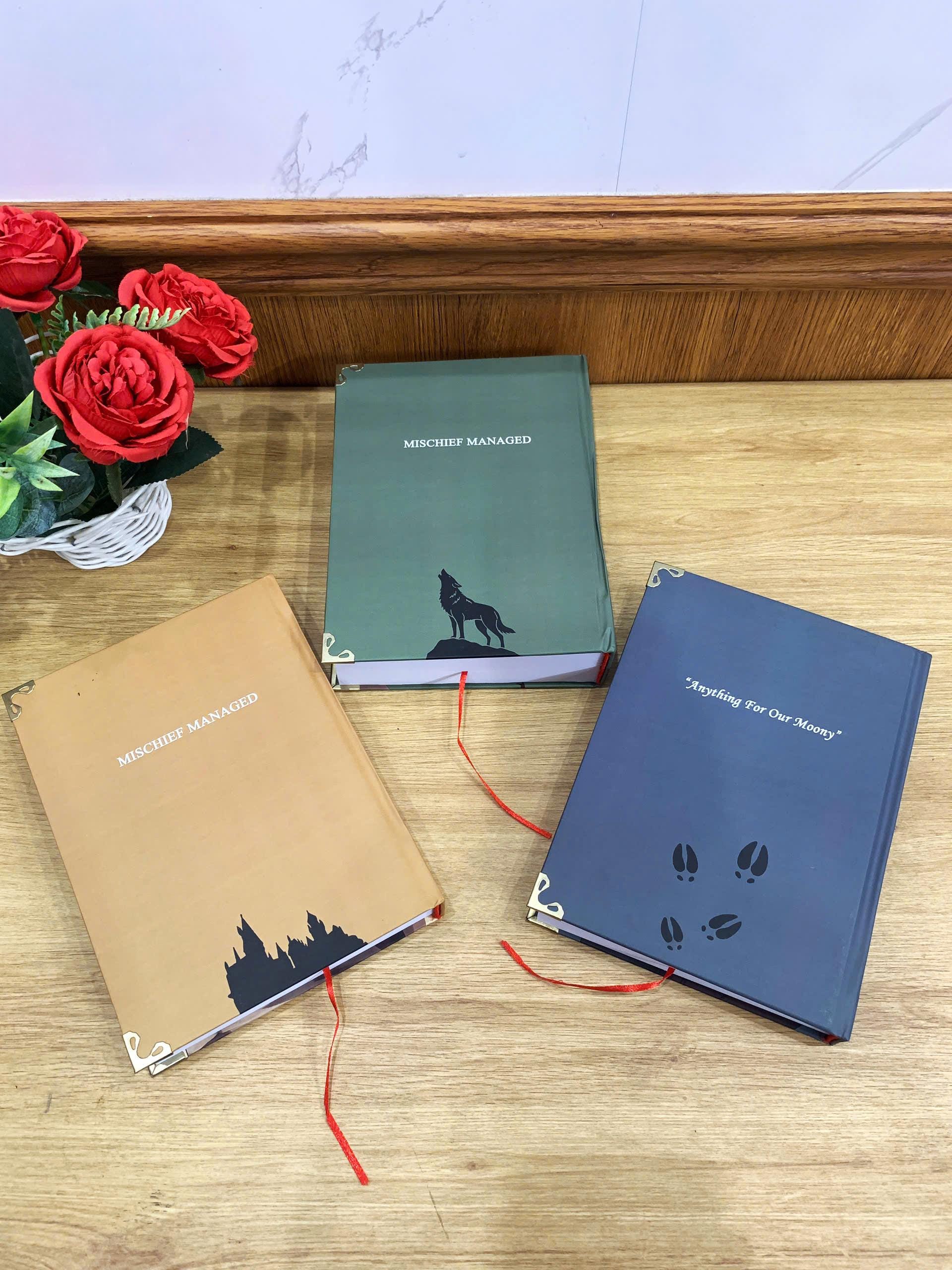 All The Young Dudes with 3-Volume Set: Hardcover Collection, Illustrated Romantic Dramione Fanfiction, Cheerful Cover