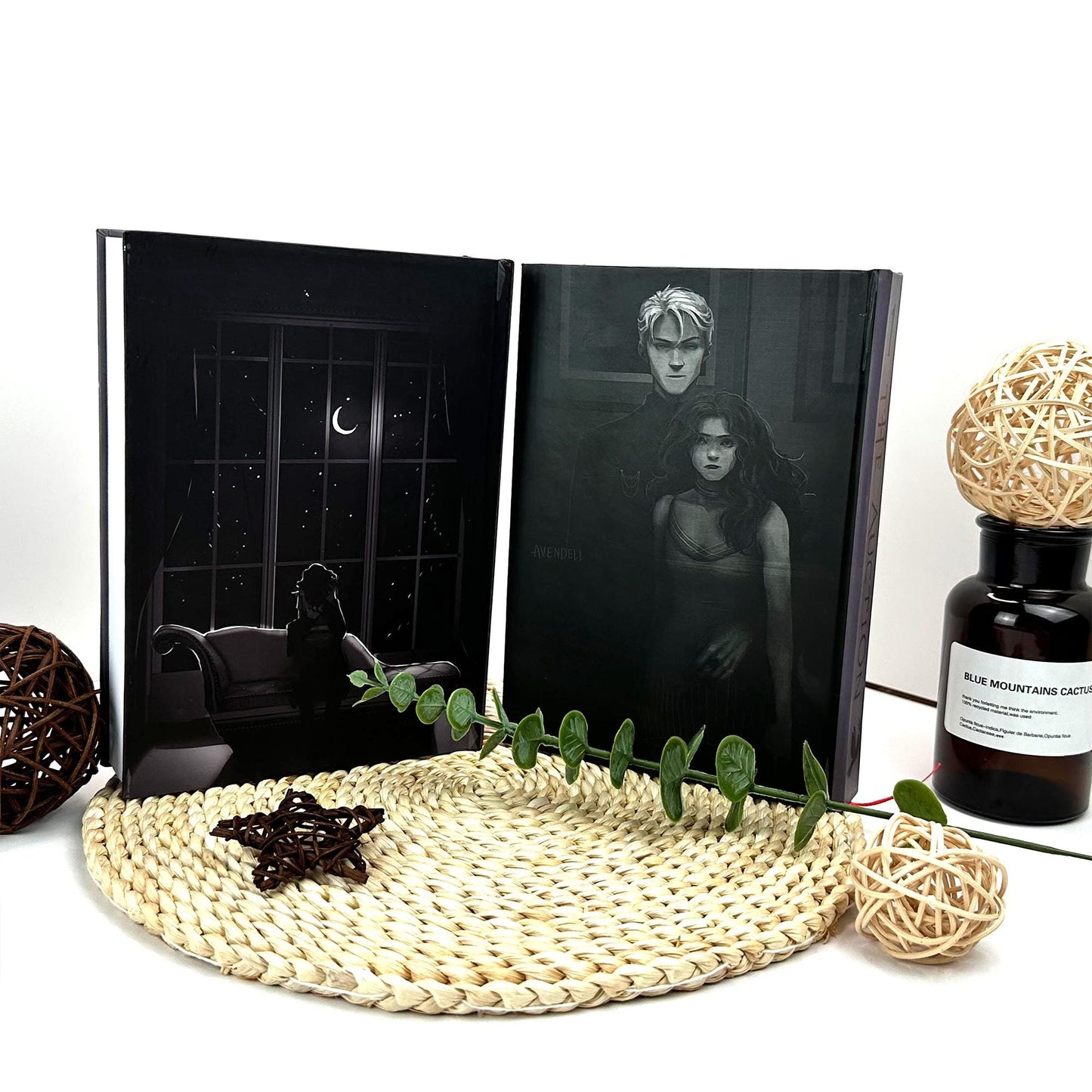 The Auction by LovesBitca8 - New Version, The Auction Dark Romance Hardcover N05